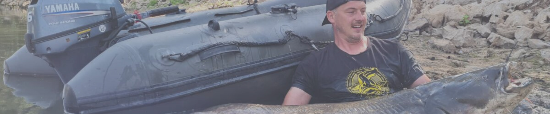 Kompromisszumok nélkül