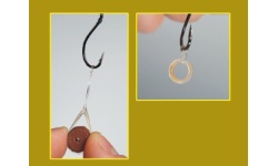 5998117779931_parent_csalikarika_1