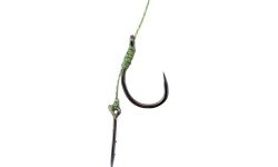 czero_cz-102-cft1409_f1_quantum_bb_eloke