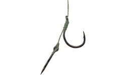 czero_cz-103-cft1413_f1_quantum_eloke