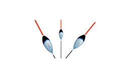 exner_11300_remus_úszo