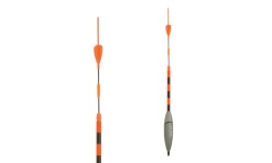 exner_50510-14_parent_ice_star_úszo