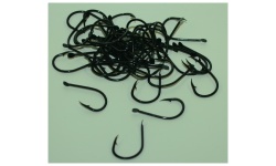 nm_horog_cb3_0_parent_argus_chinu_horog