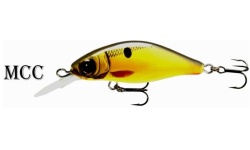 ob_goldy_kingfisher_mcc