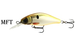 ob_goldy_kingfisher_mft