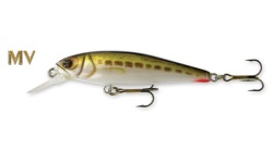 op_goldy_goldfish_mv