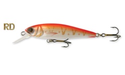 op_goldy_goldfish_rd