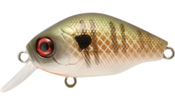 rapture_180-00-752_bb_crank_05_f_lbb_wobbler