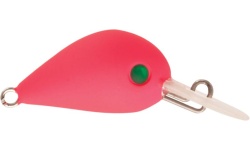 rapture_180-06-958_hot_buzz_area