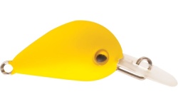 rapture_180-06-961_hot_buzz_area