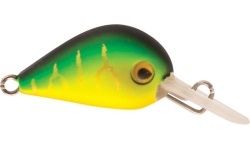 rapture_180-06-962_hot_buzz_area