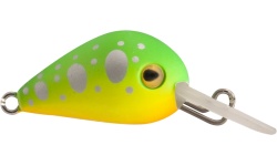 rapture_180-06-983_pro_hot_buzz_area