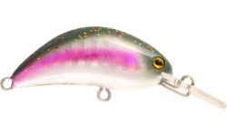 rapture_180-07-001_hot_bean_area