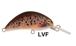 rapture_180-07-004_hot_bean_area_s_lvf