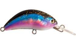 rapture_180-07-042_hot_bean_area_bs