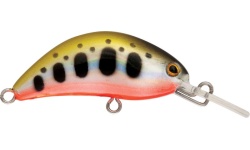 rapture_180-07-048_hot_bean_area