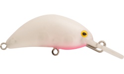 rapture_180-07-071_hot_bean_area_s_2018