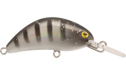 rapture_180-07-072_hot_bean_area_s_2018