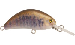 rapture_180-07-098_hot_bean_area_s_2018