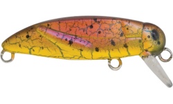 rapture_180-16-608_pro_grasshopper_shy_s_2g_37mm_wobbler