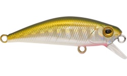 rapture_180-17-302_firework_os