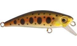 rapture_180-17-303_firework_s