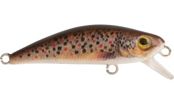 rapture_180-17-304_firework_s