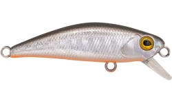 rapture_180-17-318_firework_so