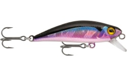 rapture_180-17-342_firework_bs