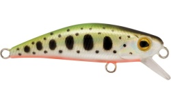 rapture_180-17-348_firework_ymr