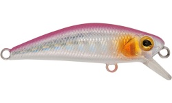 rapture_180-17-356_firework_pk