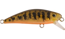 rapture_180-17-394_firework_s