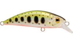 rapture_180-17-448_riujin_ymr