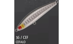 rapture_180-17-736_pro_windcode_cef