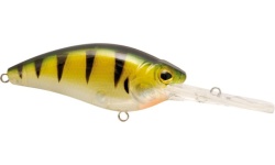 rapture_180-18-015_pro_neo_crank_silente_f_ggl_wobbler