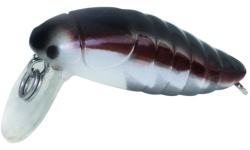 rapture_180-42-109_pro_beetle_area