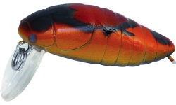 rapture_180-42-111_pro_beetle_area