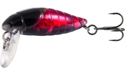 rapture_180-42-120_pro_beetle_area