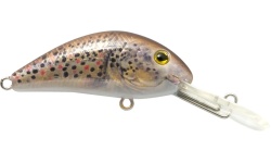 rapture_180-42-204_evoque