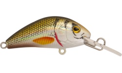 rapture_180-42-211_evoque