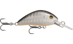 rapture_180-42-218_evoque