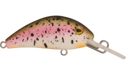 rapture_180-42-277_evoque