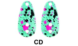 rapture_188-08-558_area_btv_ryzer