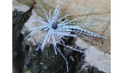 rapture_188-27-004_tungsteen_finesse_rub_jig