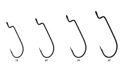 rapture_200-50-009_parent_c.magna_oshaugh.worm