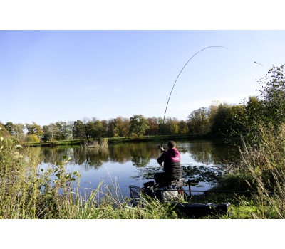 12202_12203_12207_L1