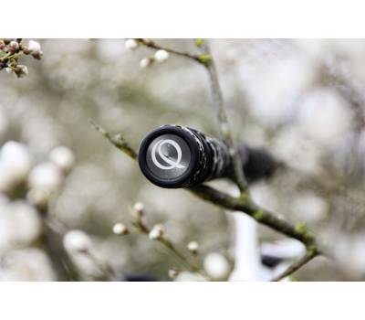 14591240-14596223_C2