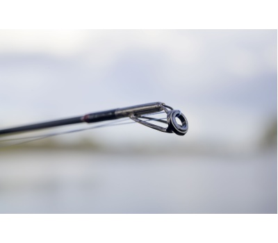 14591240-14596223_C5