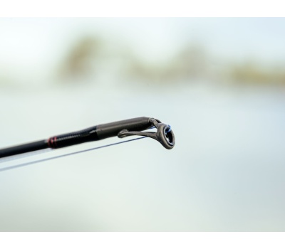 14591240-14596223_C6