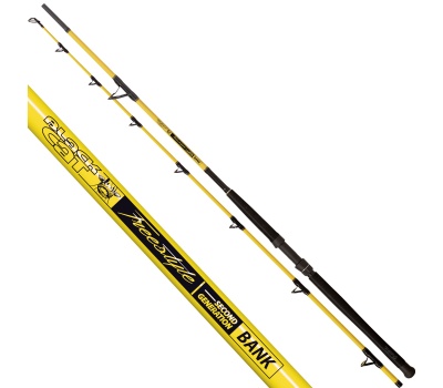 16432280_300_AZ_Main1